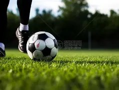 瓦塞尔快速,融入赛事,表现卓越受,雪缘园足球比分,雪缘园比分官网,雪缘园体育,雪缘园网页版,雪缘园app下载电脑版